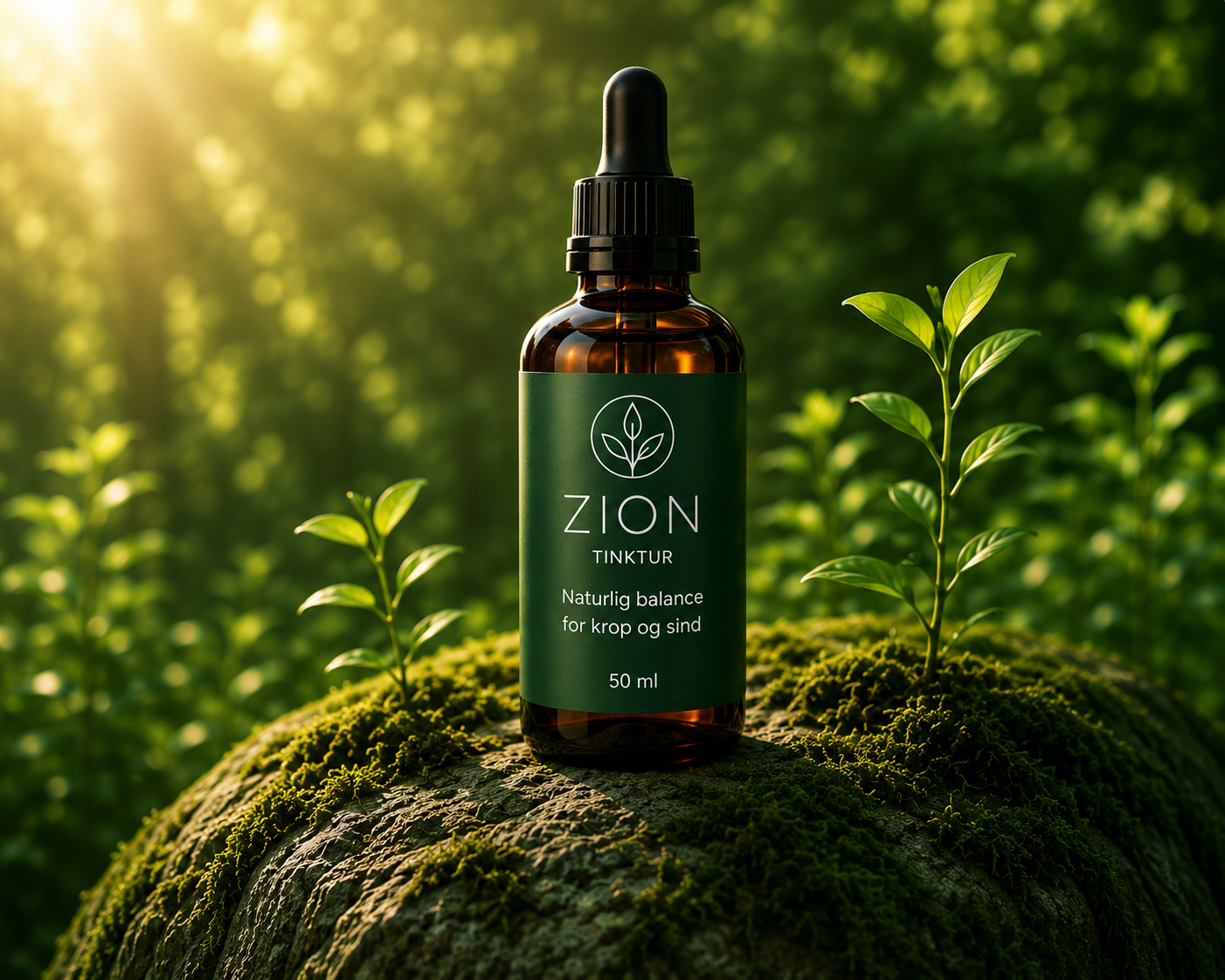 Zion Tinktur Produkt
